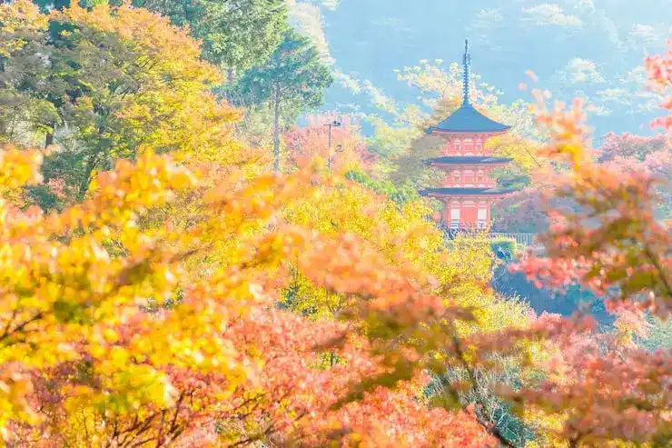 日本房价变化对移民决策的影响