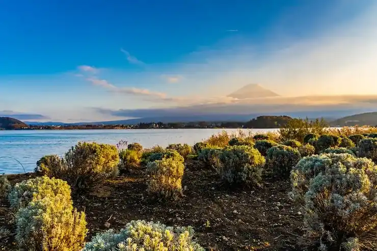 新西兰创业移民条件与项目介绍