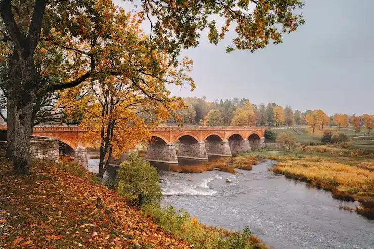 主申请人获批西班牙居留后出生的子女，能直接获得居留权吗？