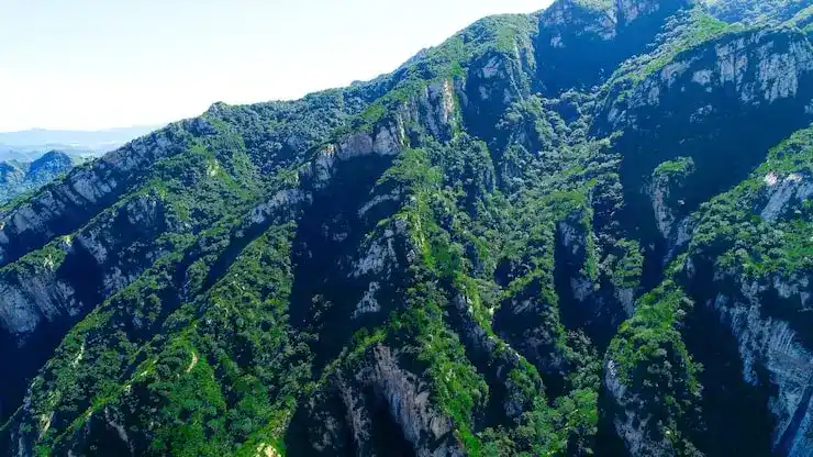 新西兰移民生活：自然环境+就业机会+育儿福利体验