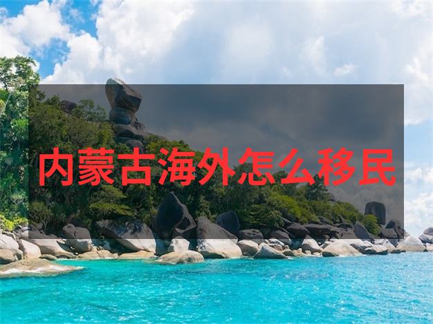 新西兰投资移民材料1000万纽币的来源证明