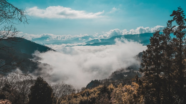 葡萄牙移民好