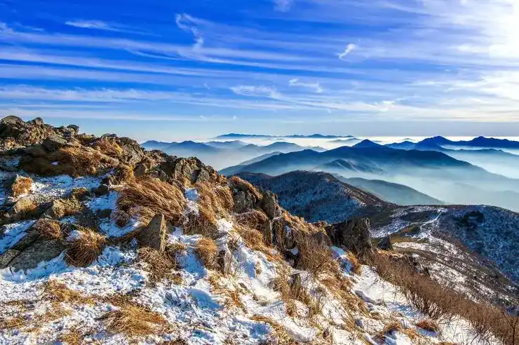 瓦伦西亚房产市场与投资潜力