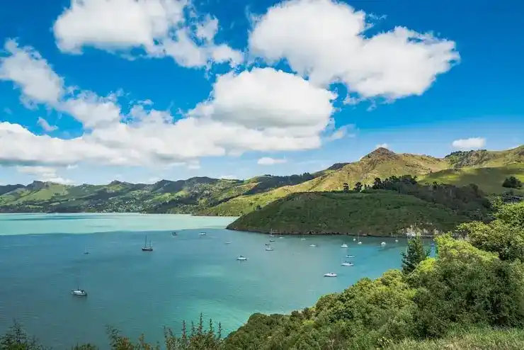 亚太环球移民提供专业办理支持