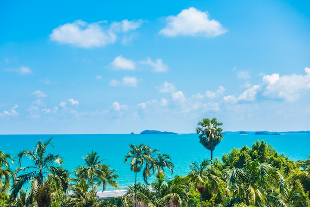 2024飞往瓦努阿图Flights to Vanuatu特价机票预定攻略