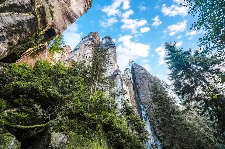 出国免签需要什么手续？签证与护照解答