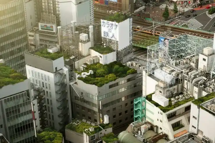 前目的地成本，移民前需要评估的目标国家成本