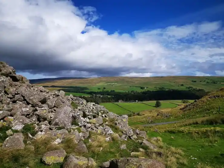 有当地身份，在巴拿马留学的费用会不会更可控？