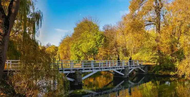 安提瓜投资入籍是直接获得护照吗？无需先拿居留再转公民？