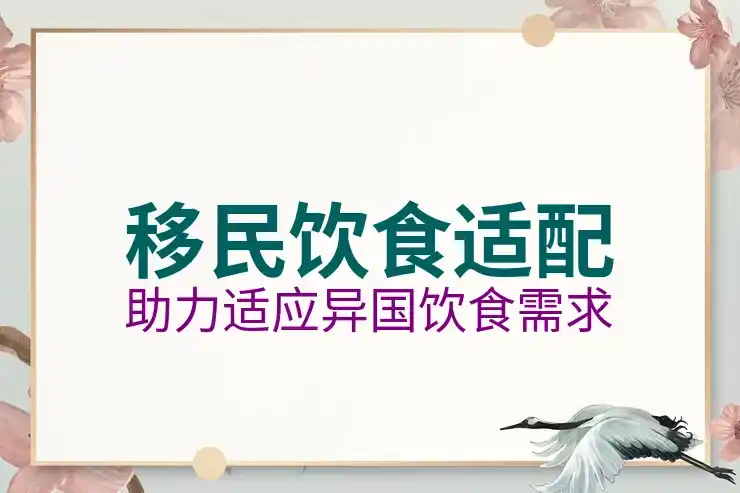 马耳他国家简介:历史与文化概览