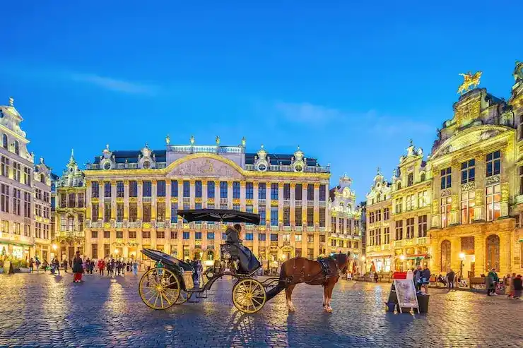 创业移民的资金安排与市场准入要求