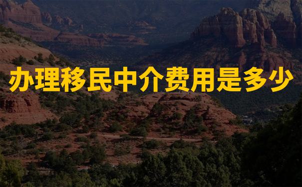 国内好的移民公司在服务内容上有哪些突出特点？