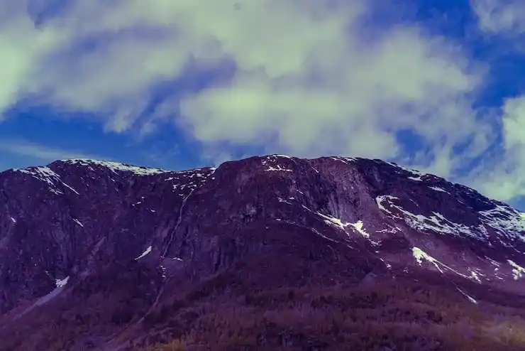 美国投资移民需要多长时间获批