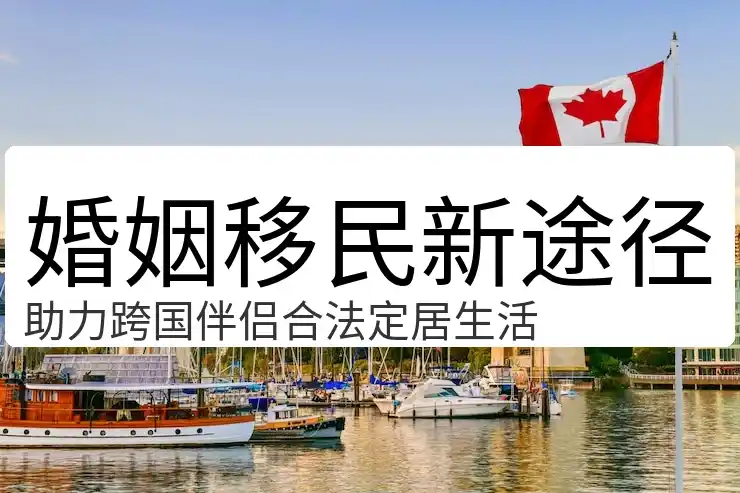 买房移民政策全球对比选择低门槛国家
