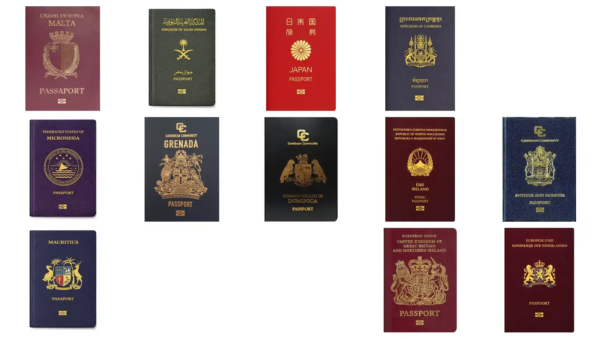 2026年最低护照移民费用：圣多美9万美元