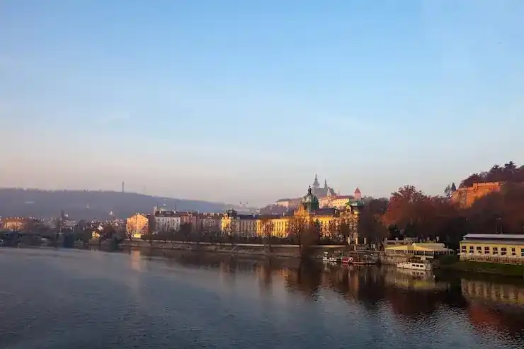 2026年移民局电话查询技巧与常见问题