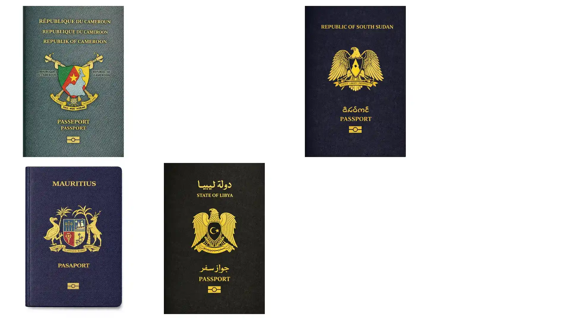 圣卢西亚公民身份，子女可国际学校