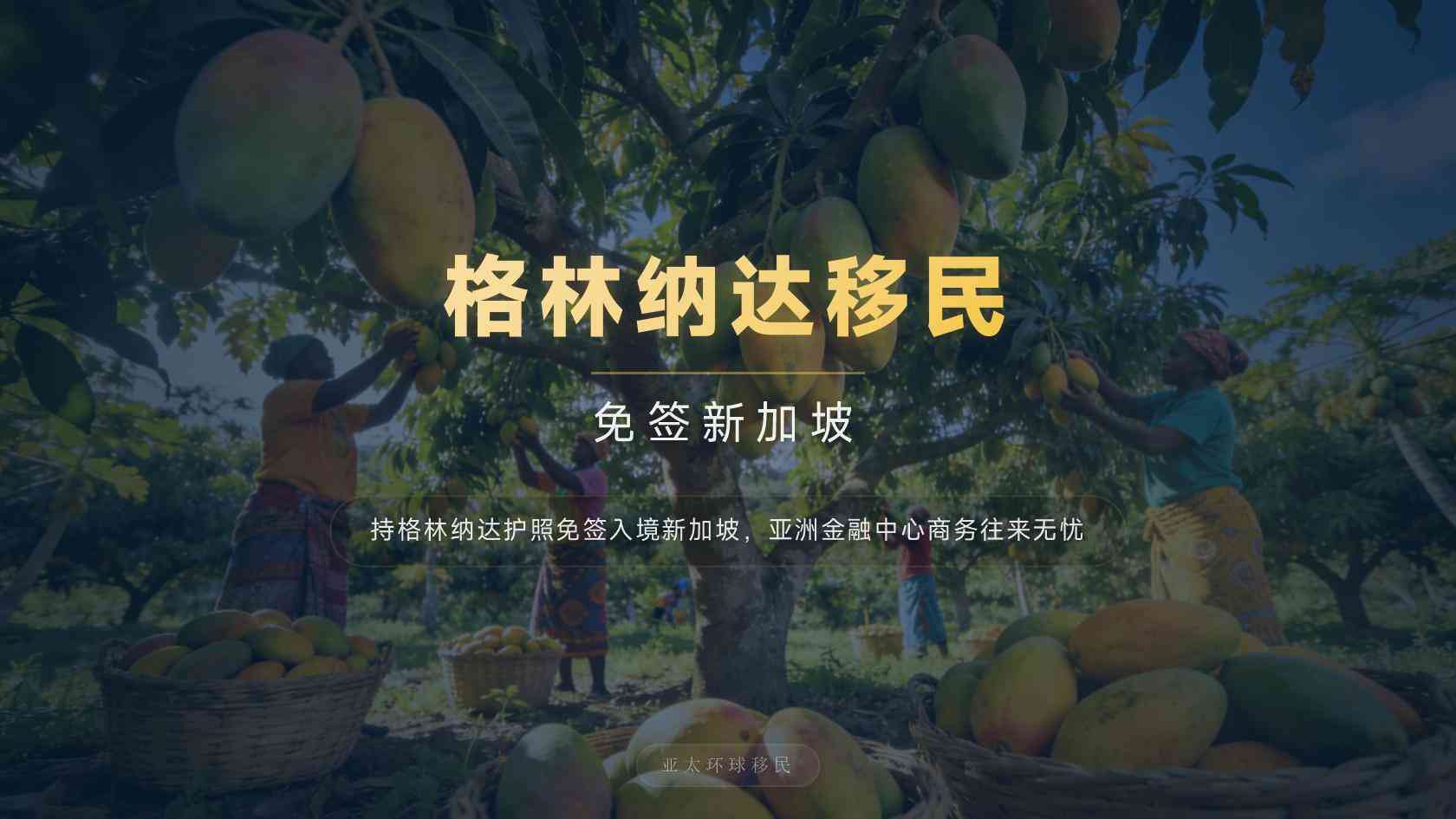 干货、格林纳达第二护照官方申请入口，每一步要准备什么