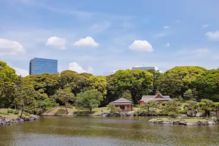 如何在深圳选择最适合的移民服务公司，规划海外生活？