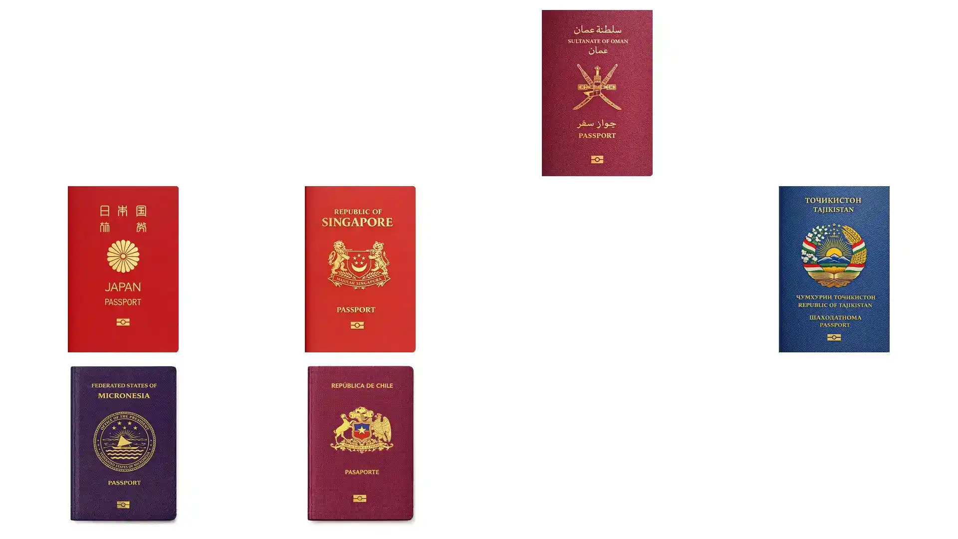 葡萄牙基金vs捐赠vs科研哪个性价比高？费用对比