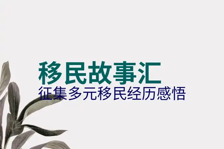 圣基茨移民有哪些国家可以免签