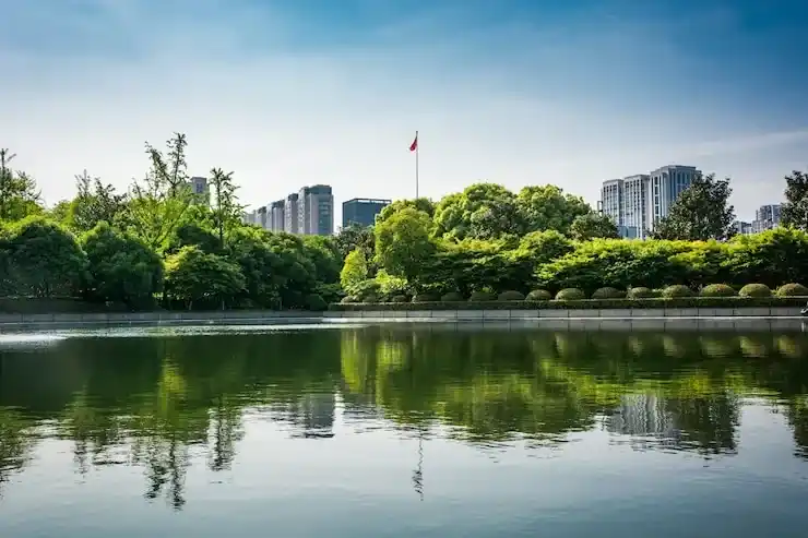 中国人移民马耳他的条件有哪些？