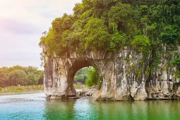 专业移民