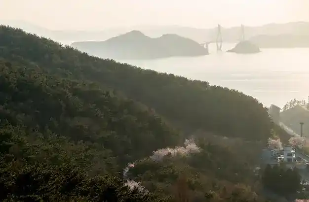亚太环球移民：圣卢西亚护照10年有效期，性价比提升