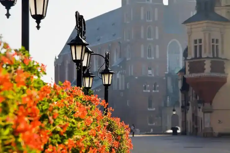 斐济存款移民，存款利息收益记录，覆盖近6个月