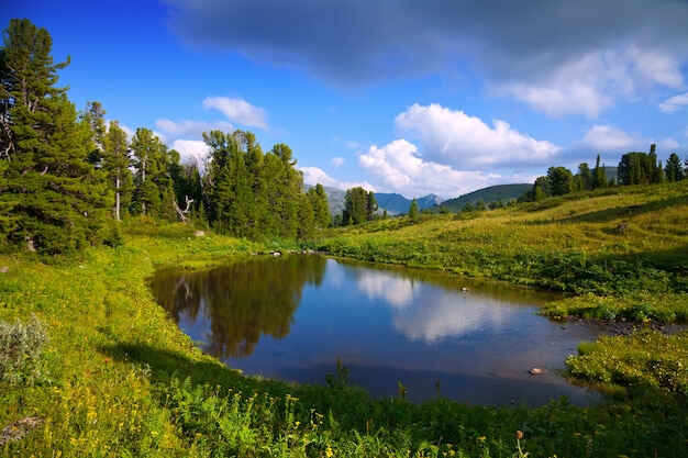 PERM
