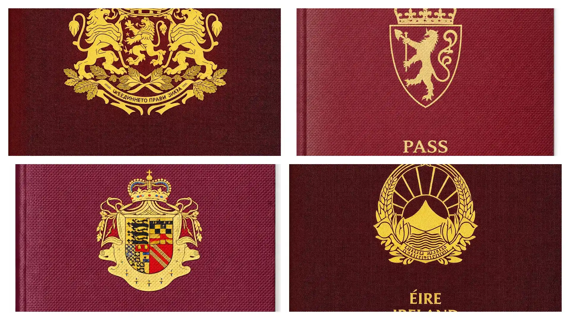 希腊绿卡能就读烟台韩国学校吗？