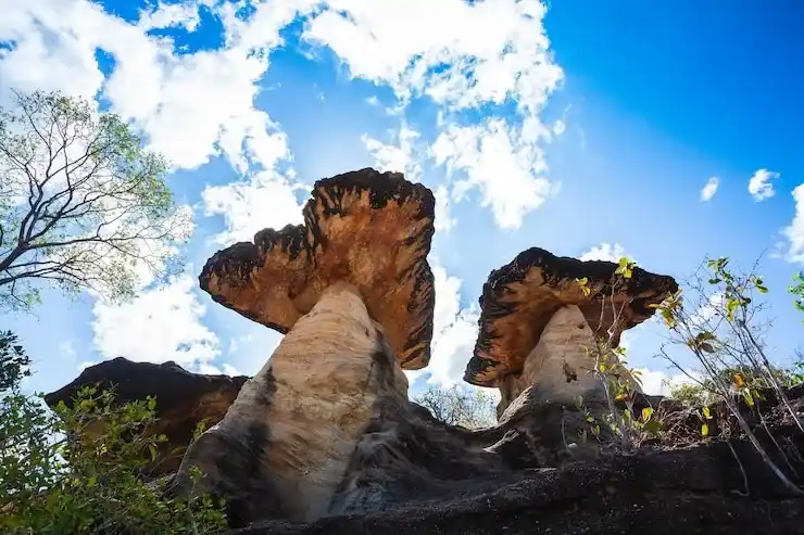 格林纳达移民：20多万美金捐赠，就能给全家办本英联邦护照？