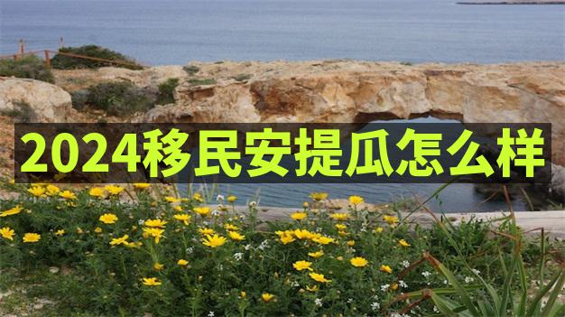 移民安提瓜流程