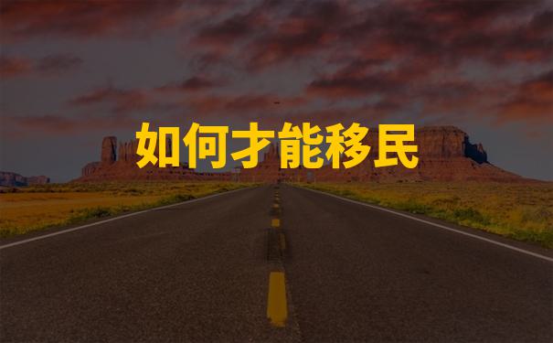 出国移民中介机构排名依据是什么？对申请人有何参考价值？