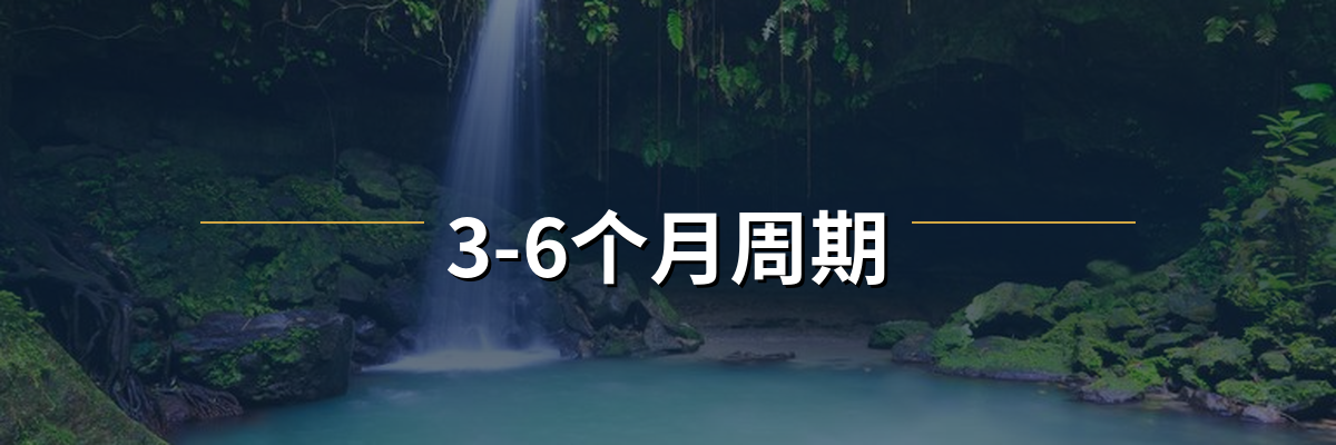 多米尼克