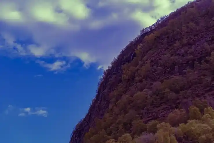 经商人士注意：多米尼克税务规划方案