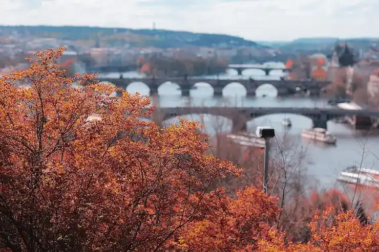 希腊黄金签证的审批周期大概多久？