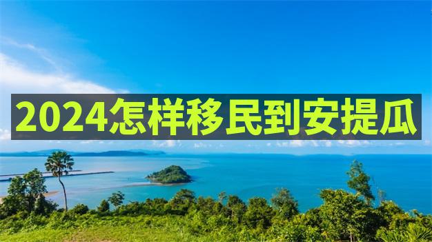 安提瓜移民局官网的在线申请系统操作复杂吗，有无指导教程？