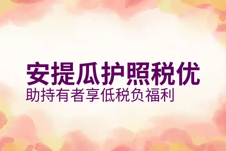 安提瓜教育基金捐赠政策解析，6人家庭套餐如何获得身份和福利？