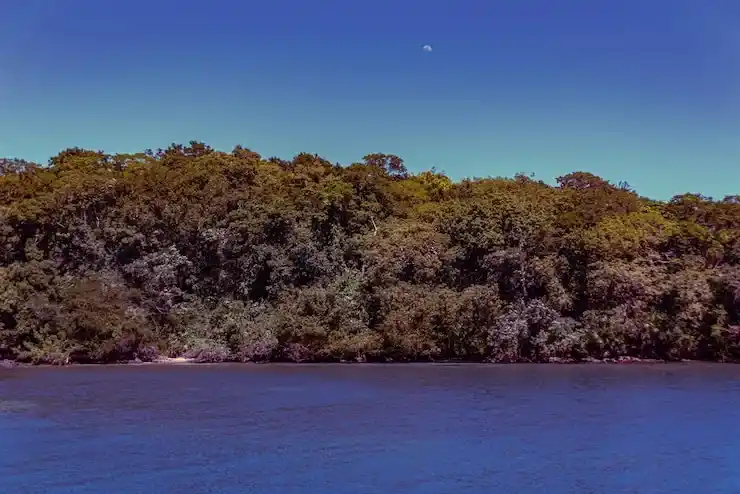 预算有限？先拿下瓦努阿图永居，也是个高性价比的跳板