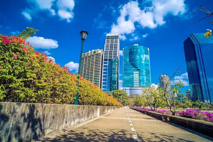 新投资移民能否以实物资产（如艺术品）作为投资？