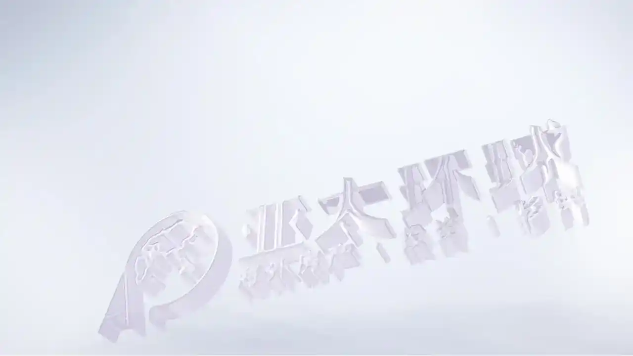 圣基茨移民申请被拒原因分析与补充方案