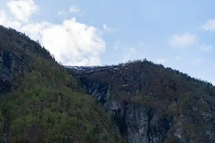 挪威