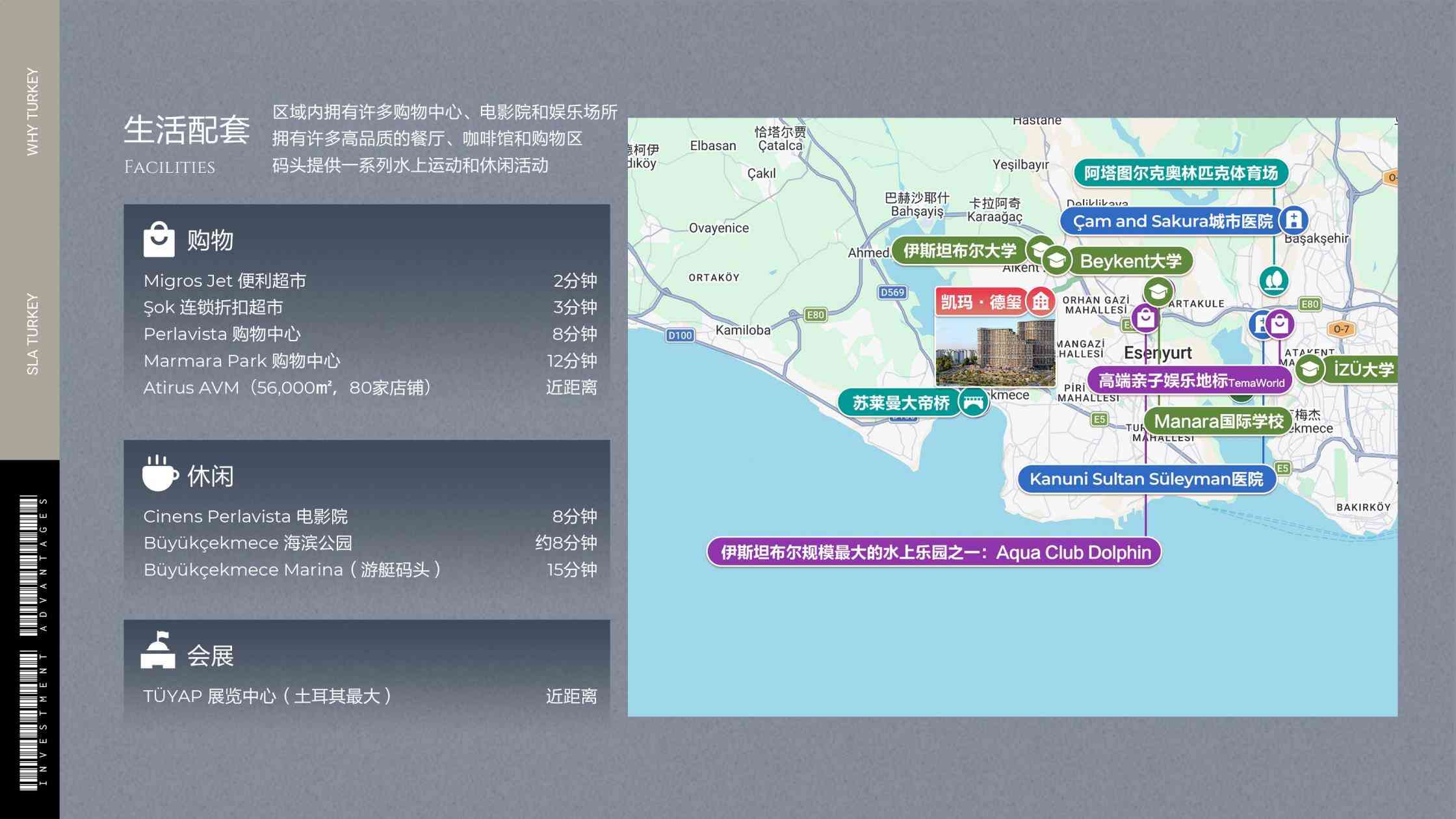 土耳其移民