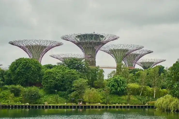 新加坡总成本：家办250万新元vs自雇PIC费用