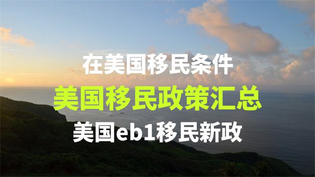 如果父母不能移民美国了，还有哪些替代方案可以实现家庭团聚？