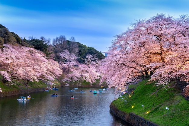 日本移民