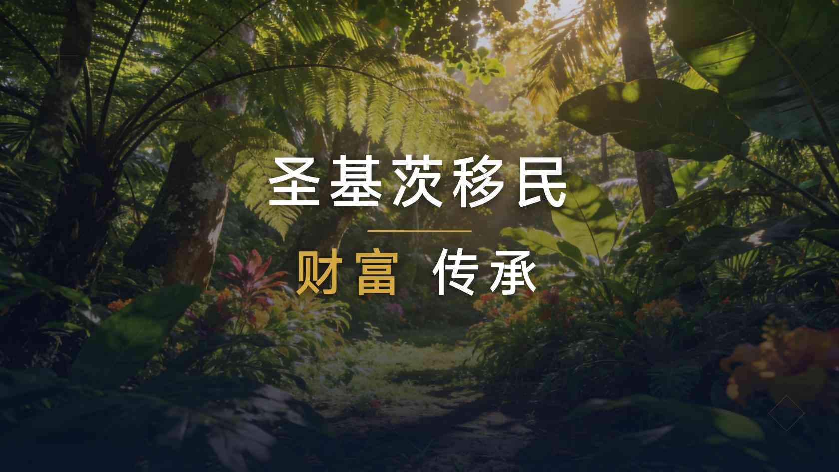 圣基茨和尼维斯安全吗：犯罪、飓风、医疗和交通分开评估