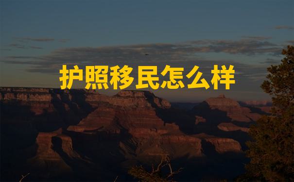 办移民需要什么条件才可以在异国他乡保持原有的职业发展优势？