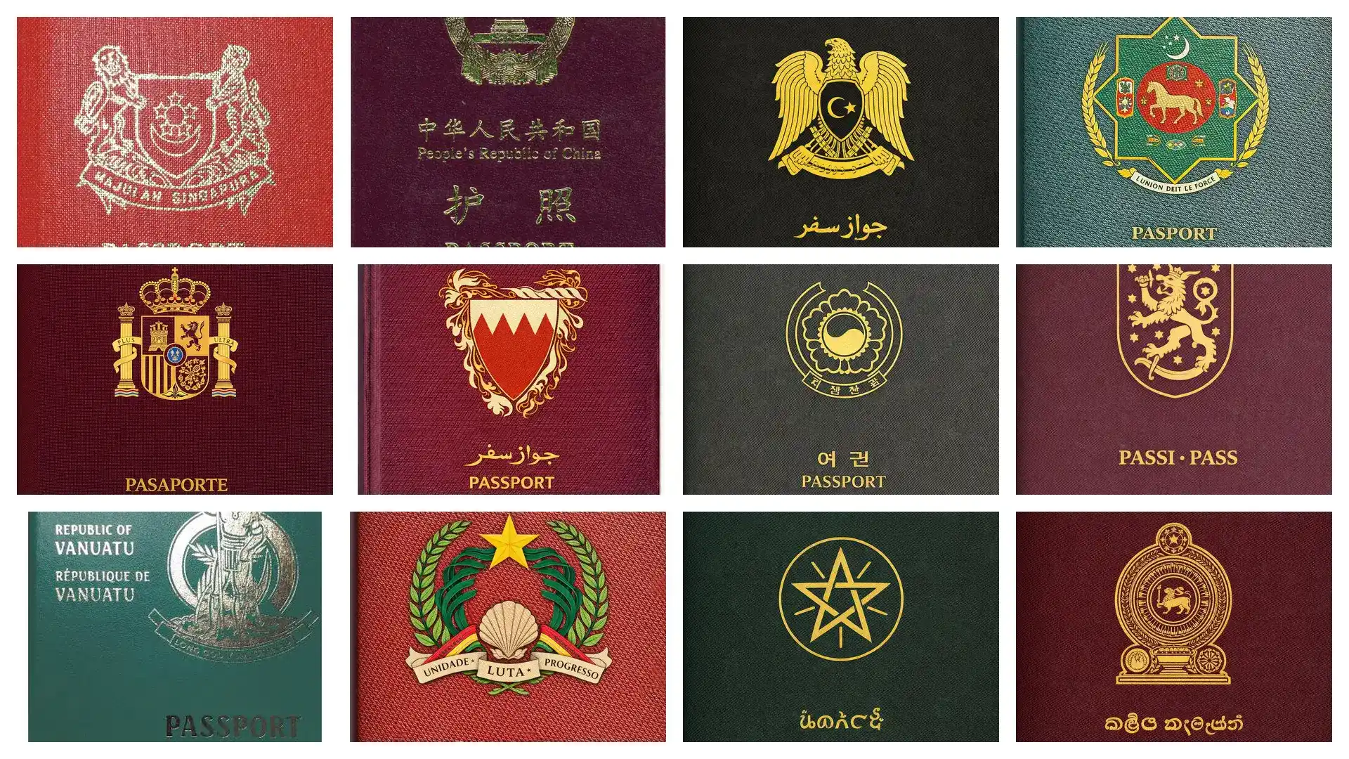 多米尼克护照移民费用：适合预算有限者